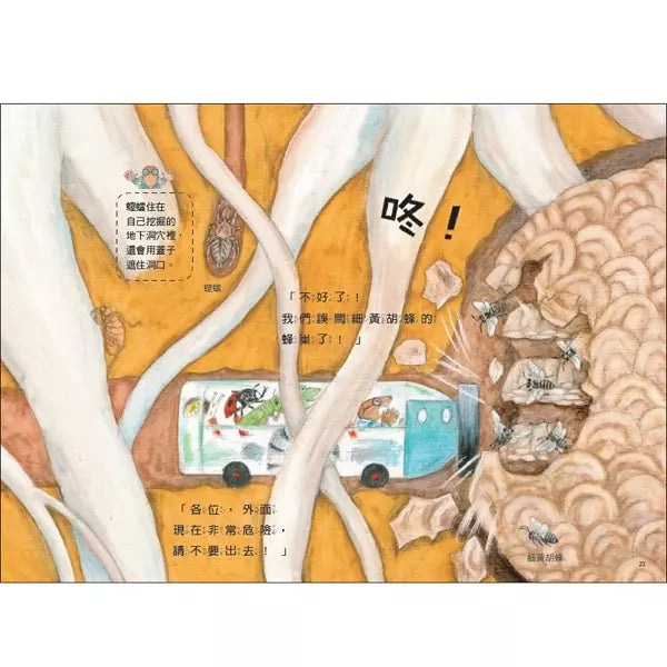 雨蛙生態旅行團：地下探險之旅 (松岡達英)-故事: 兒童繪本 Picture Books-買書書 BuyBookBook