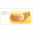 我最喜歡洗澡了 (建立生活自理能力)-故事: 兒童繪本 Picture Books-買書書 BuyBookBook