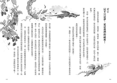 Inside Page 3
