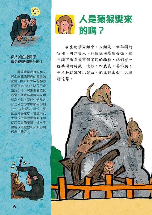 Inside Page 3