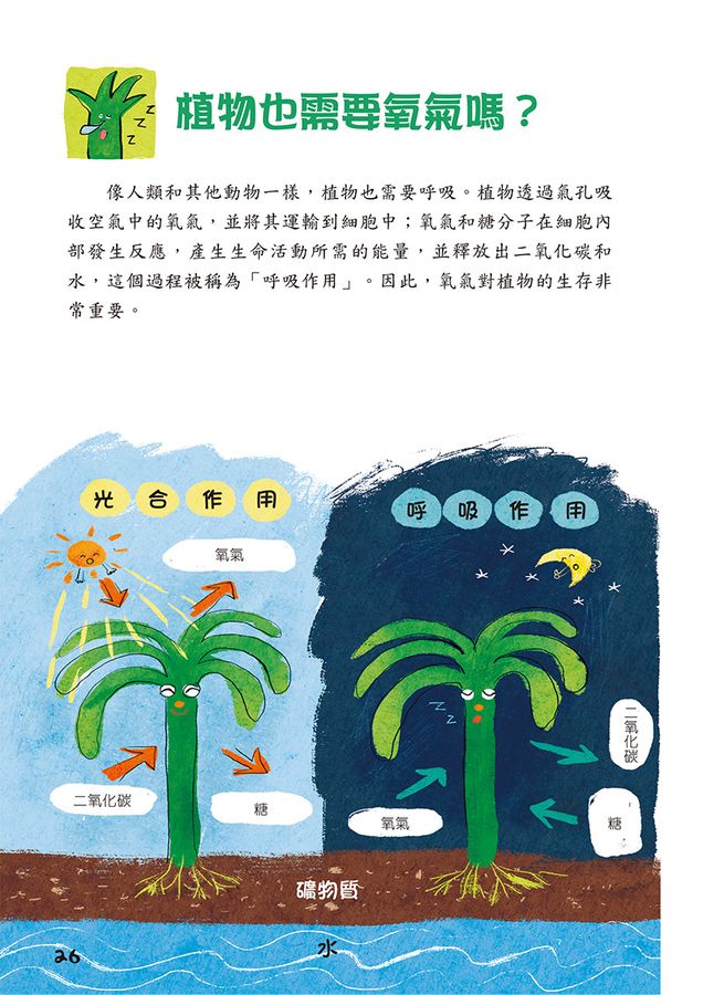 Inside Page 5