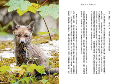Inside Page 2