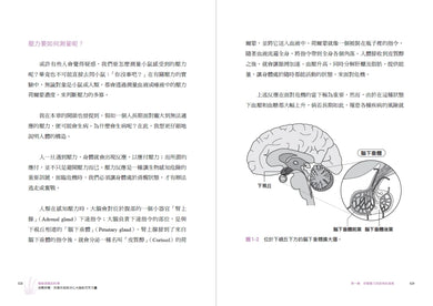 植物香氣的科學：放鬆紓壓、改善失眠與提升專注力的芬芳力量 平裝書 Paperback