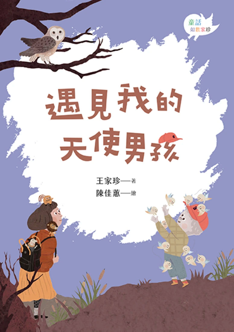 遇見我的天使男孩 平裝書 Paperback