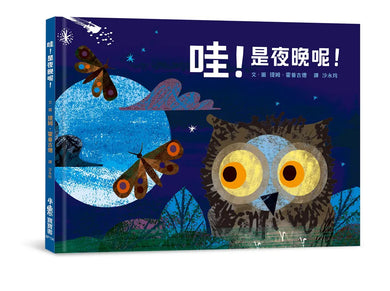 Book Cover 9789865513788