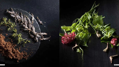 INTO FEUILLE NEXT．秘境之森：一場以食為名的感官探險之旅 精裝書 Hardback