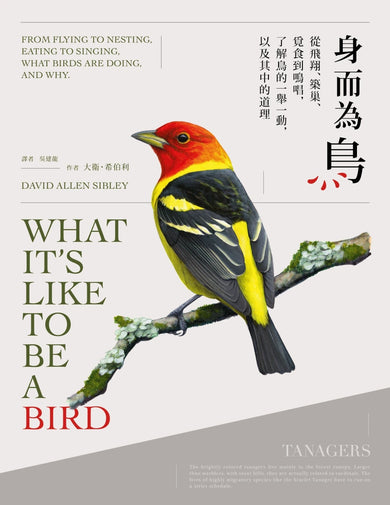 身而為鳥：從飛翔、築巢、覓食到鳴唱，了解鳥的一舉一動，以及其中的道理 平裝書 Paperback