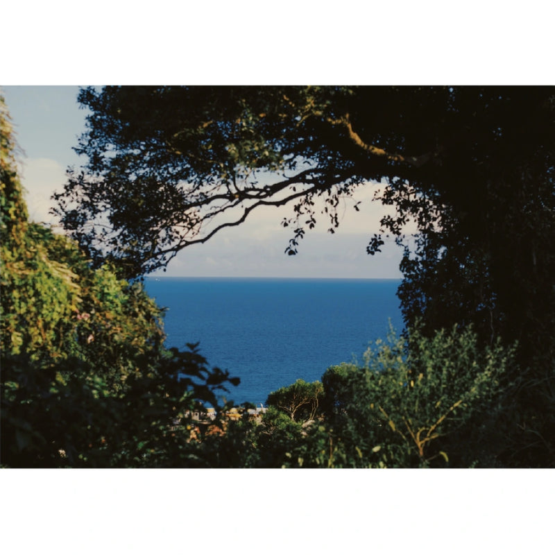 誌村鑑4：馬祖南竿山隴