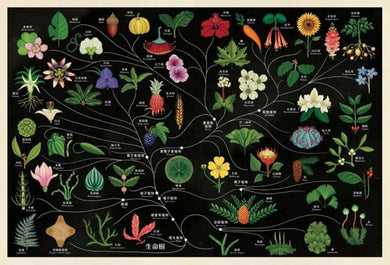 植物博物館【台灣獨家封面版】 精裝書 Hardback