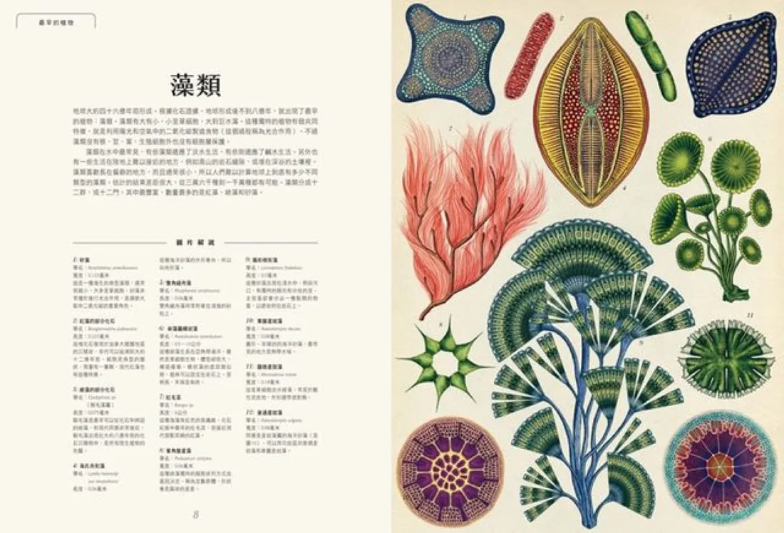 植物博物館【台灣獨家封面版】 精裝書 Hardback