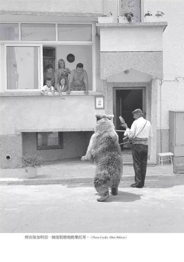 跳舞的熊 (Witold Szabłowski)