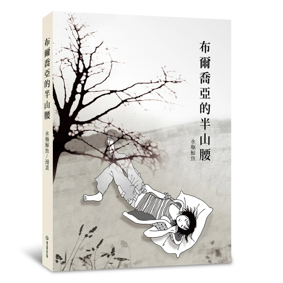 布爾喬亞的半山腰 平裝書 Paperback