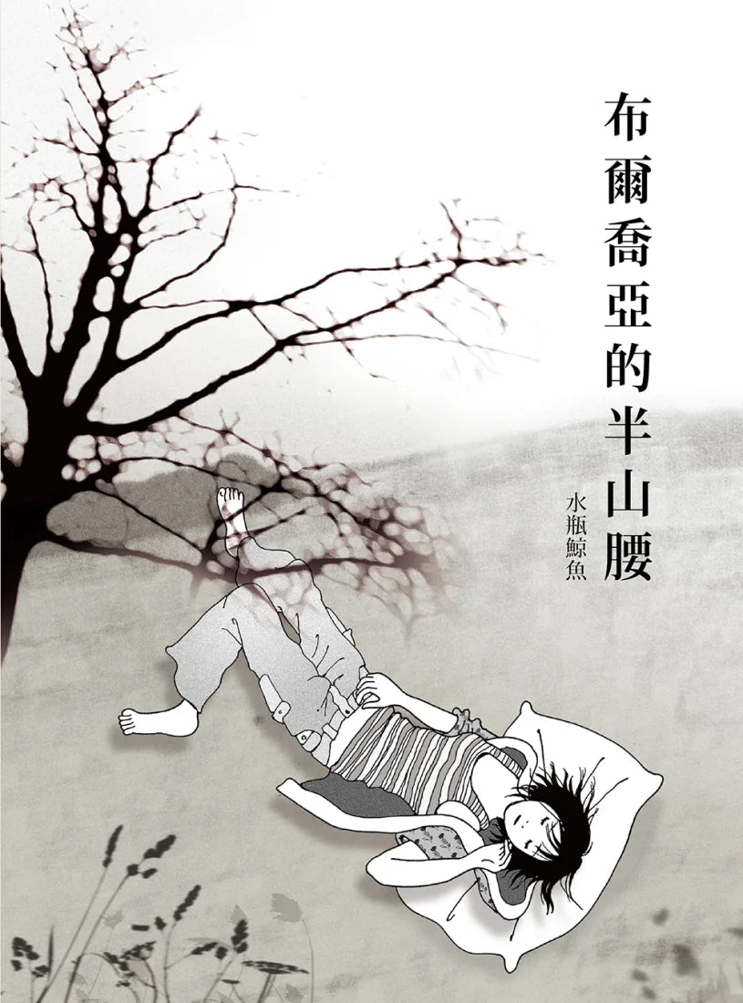 布爾喬亞的半山腰 平裝書 Paperback