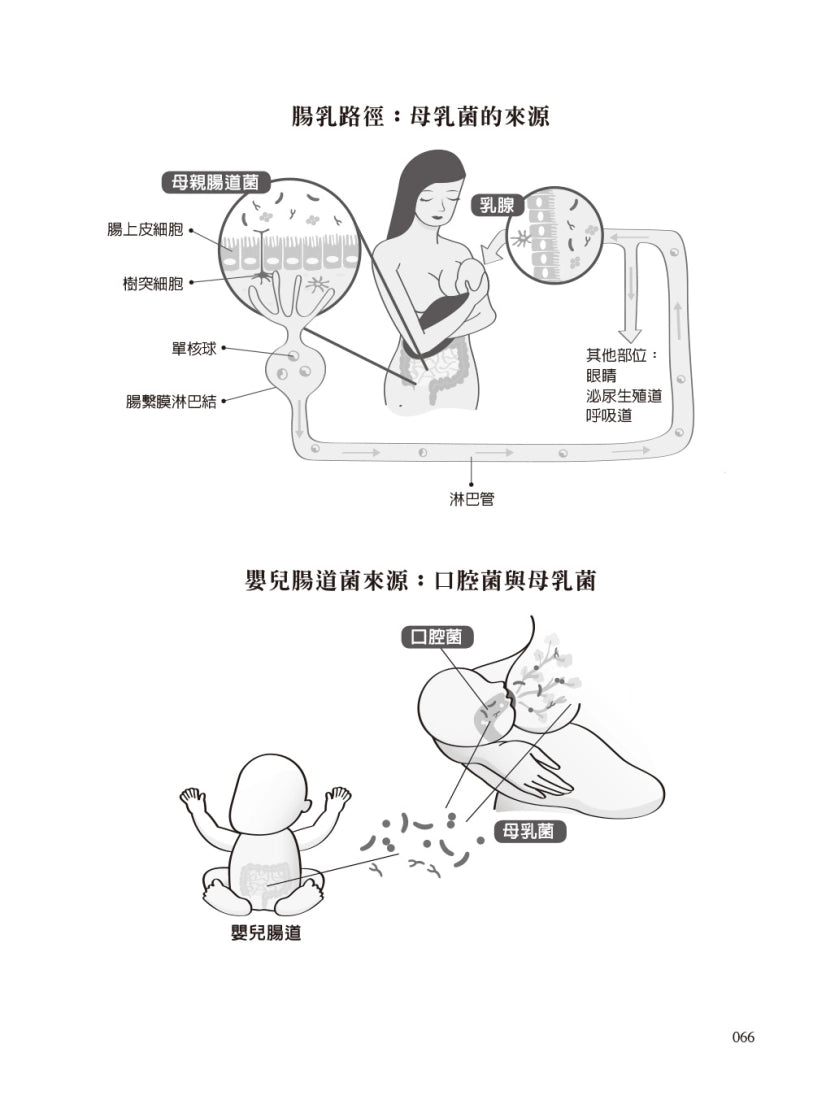 益生菌2.0大未來： 人體微生物逆轉疾病的全球新趨勢 平裝書 Paperback