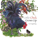 Little Chick Grows Up-Children’s / Teenage fiction: Nature and animal stories-買書書 BuyBookBook