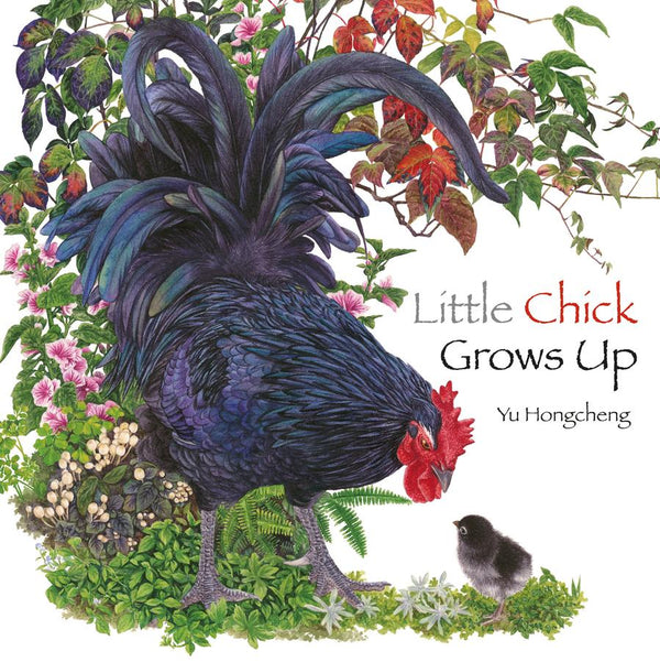 Little Chick Grows Up-Children’s / Teenage fiction: Nature and animal stories-買書書 BuyBookBook