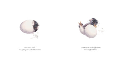 Little Chick Grows Up US - Hardback