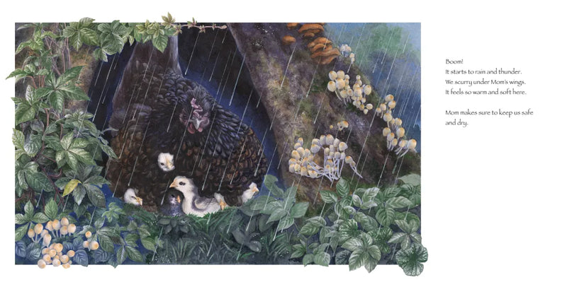 Little Chick Grows Up US - Hardback