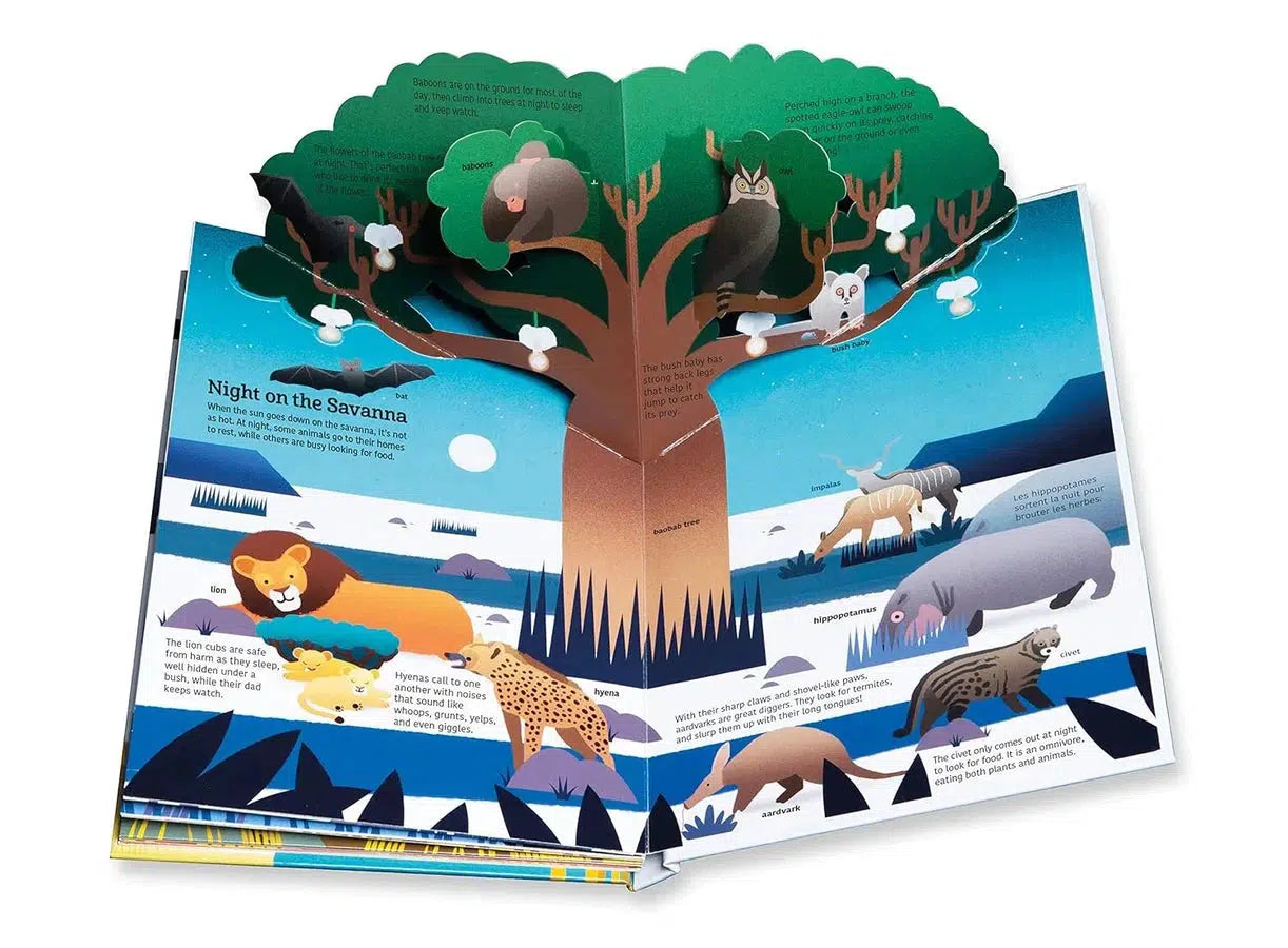 Ultimate Spotlight: Savanna Animals (Sophie Dussausois)-Nonfiction: 動物植物 Animal & Plant-買書書 BuyBookBook