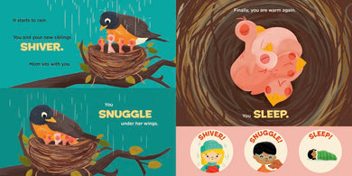 You Are a Robin! US - Board book