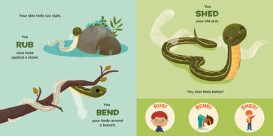 You Are a Garter Snake! US - Board book
