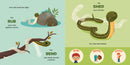 You Are a Garter Snake! US - Board book