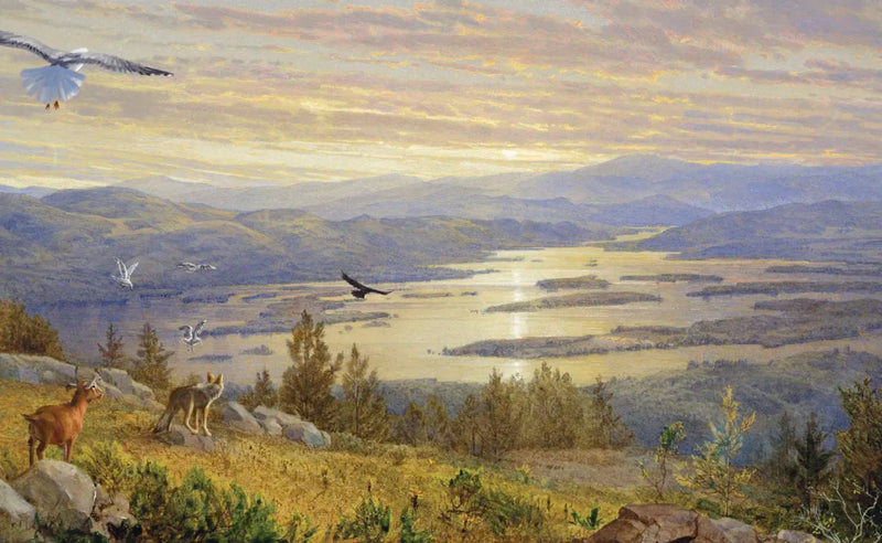 The Eyes, the Fire & the Avalanche Kingdom US - Hardback (9798217028559)