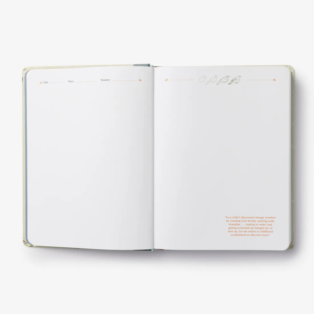 The Backyard Bird Journal US - Hardback