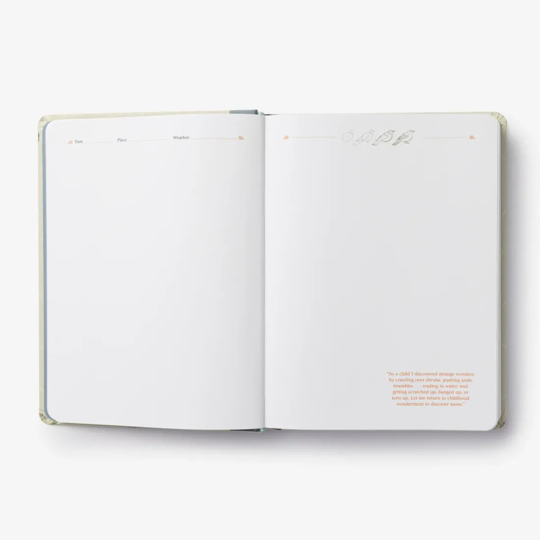 The Backyard Bird Journal US - Hardback