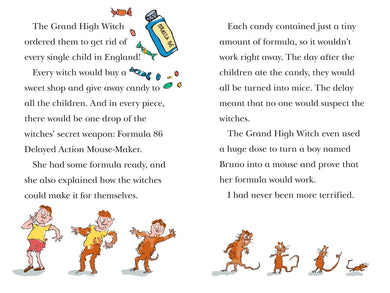 The Witches: The Mouse and the Mouse-Maker US - Hardback