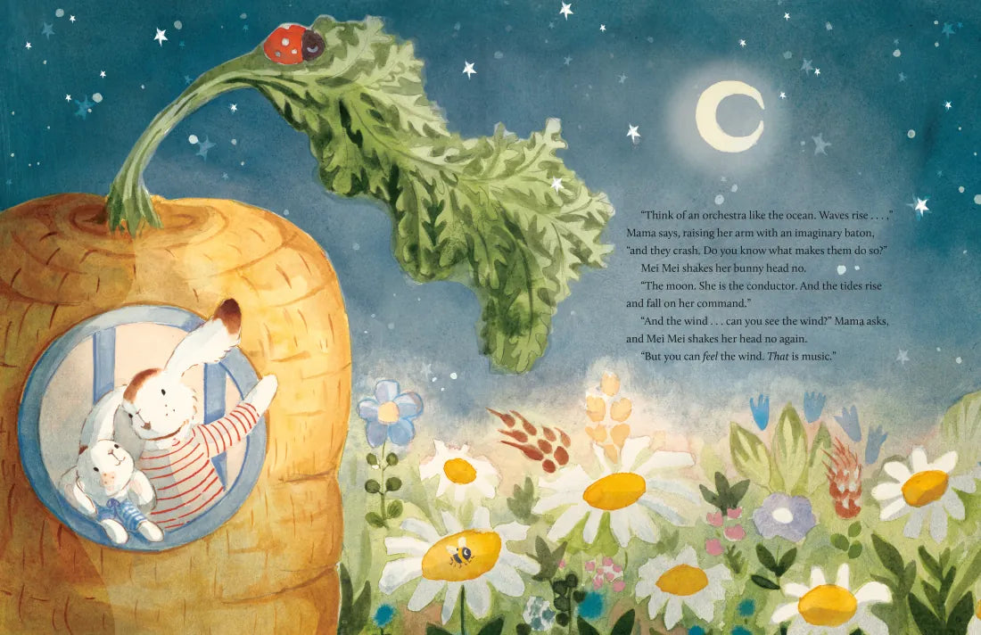 Mei Mei The Bunny US - Hardback