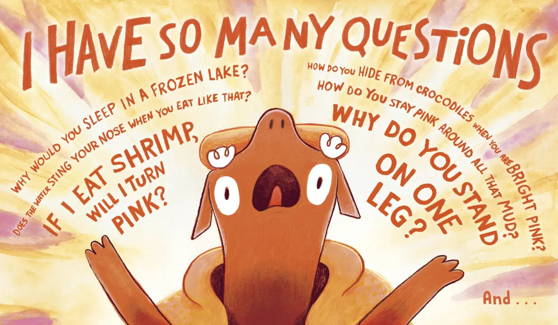 Do You Really Know Flamingos? US - Hardback
