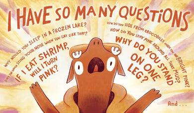 Do You Really Know Flamingos? US - Hardback