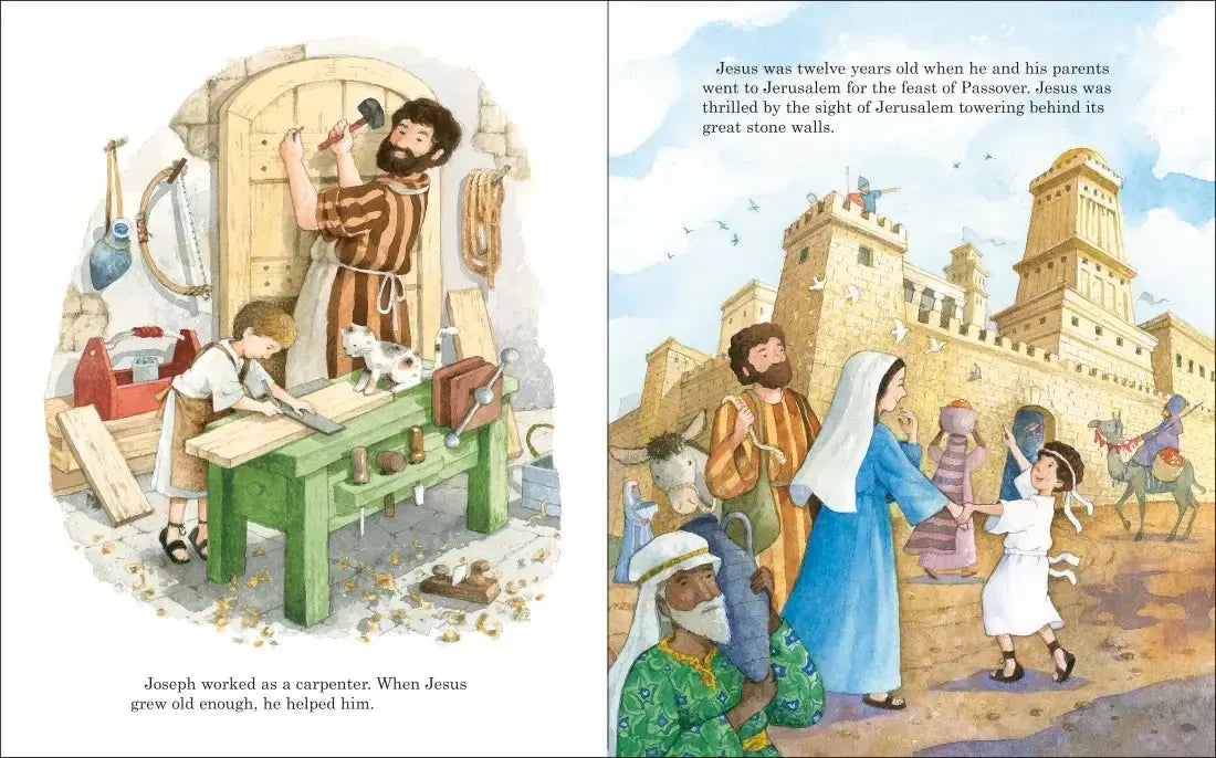 The Story of Jesus US - Hardback (9798217116461)