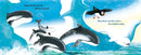 Baby Beluga/Bebé beluga (English-Spanish Bilingual Edition) US - Board book