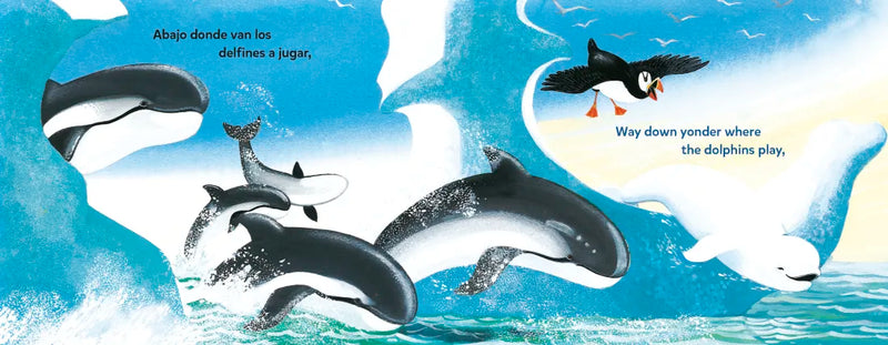 Baby Beluga/Bebé beluga (English-Spanish Bilingual Edition) US - Board book