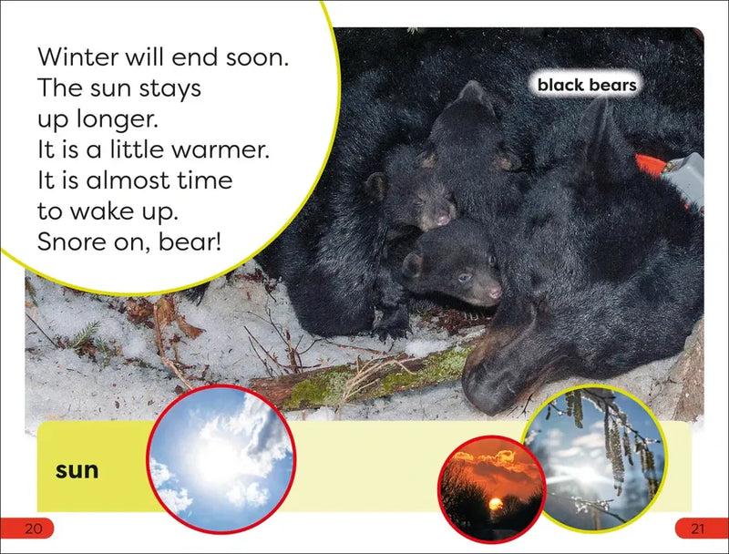 DK Super Readers Pre-Level A Bed for the Winter US - Hardback