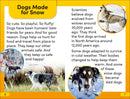 DK Super Readers Level 2 Snow Dogs US - Paperback / softback