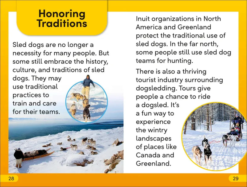 DK Super Readers Level 2 Snow Dogs US - Paperback / softback