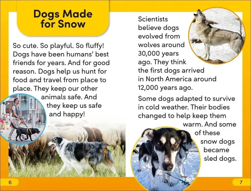 DK Super Readers Level 2 Snow Dogs US - Hardback