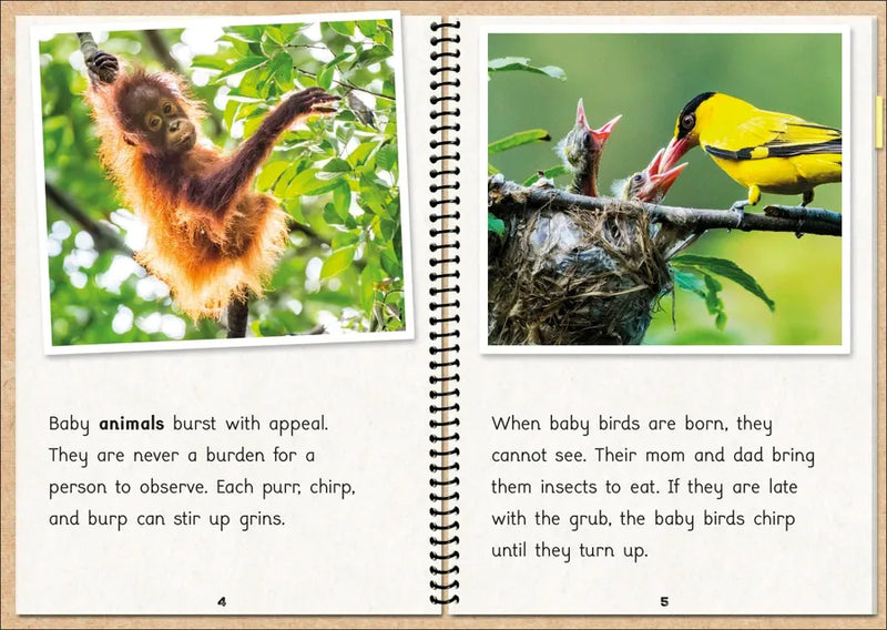 Phonic Books The Fact Files 2 US - Multiple-component retail product, boxed