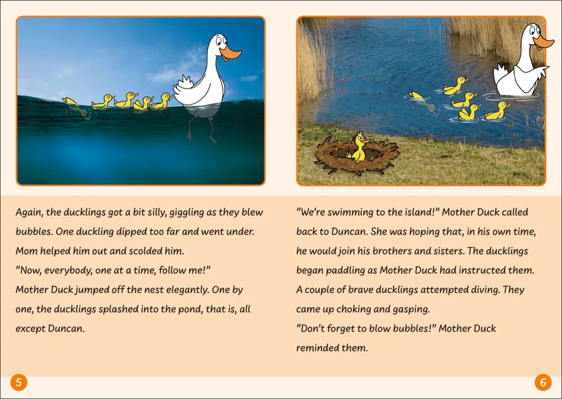 Phonic Books Dandelion Readers Level 5 Prefixes and Suffixes US - Multiple-component retail product, boxed