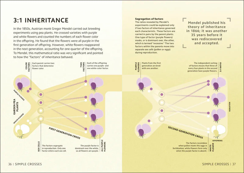 Simply Genetics US - Hardback