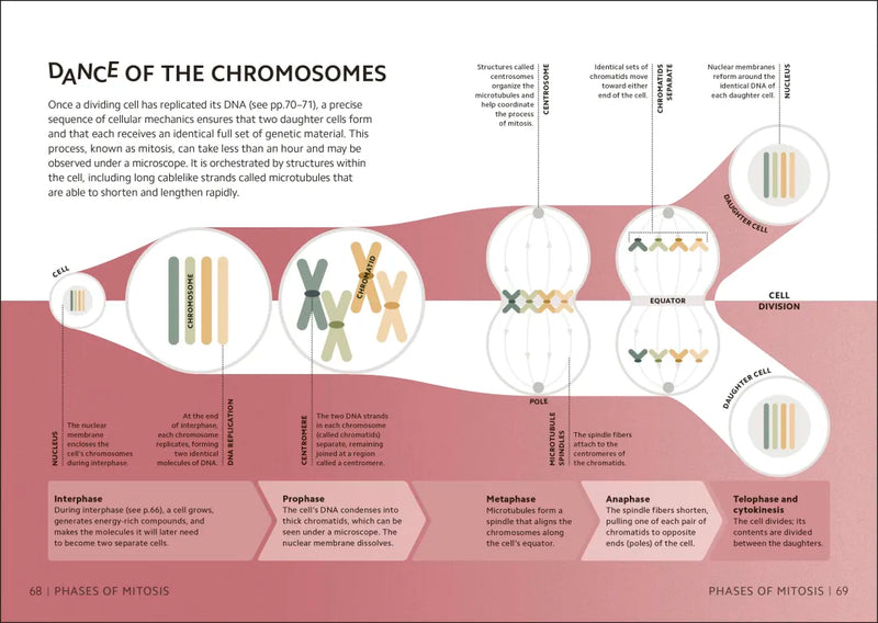 Simply Genetics US - Hardback