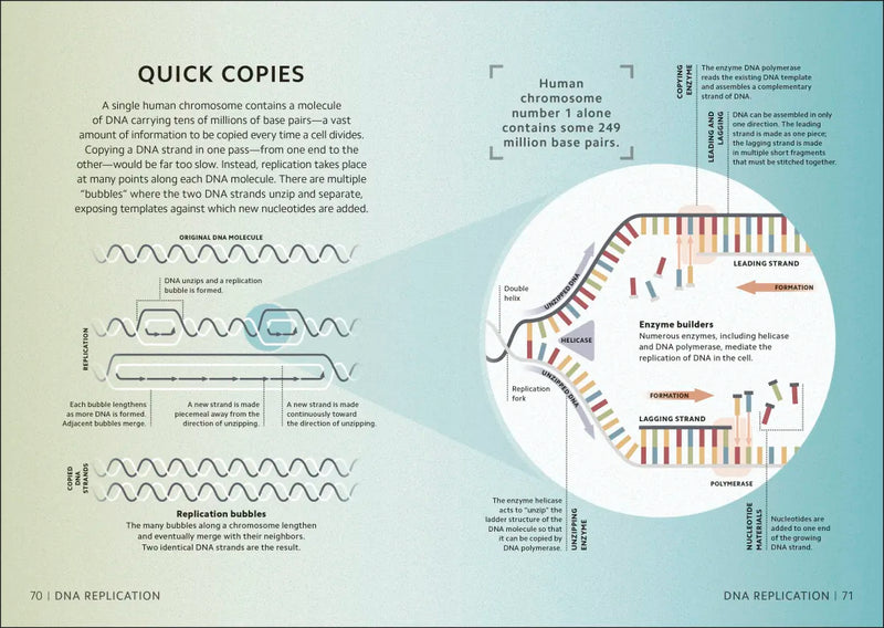 Simply Genetics US - Hardback