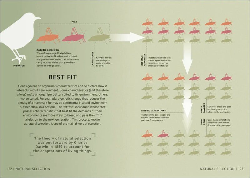 Simply Genetics US - Hardback