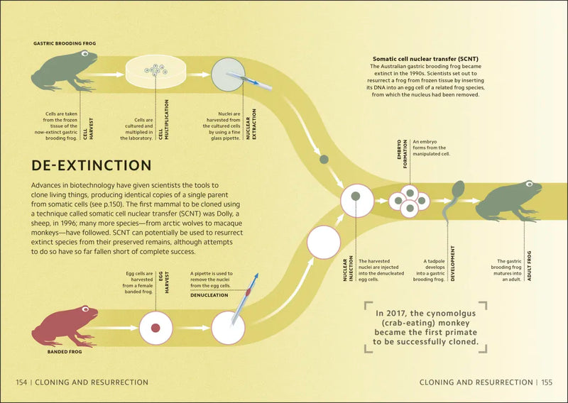 Simply Genetics US - Hardback