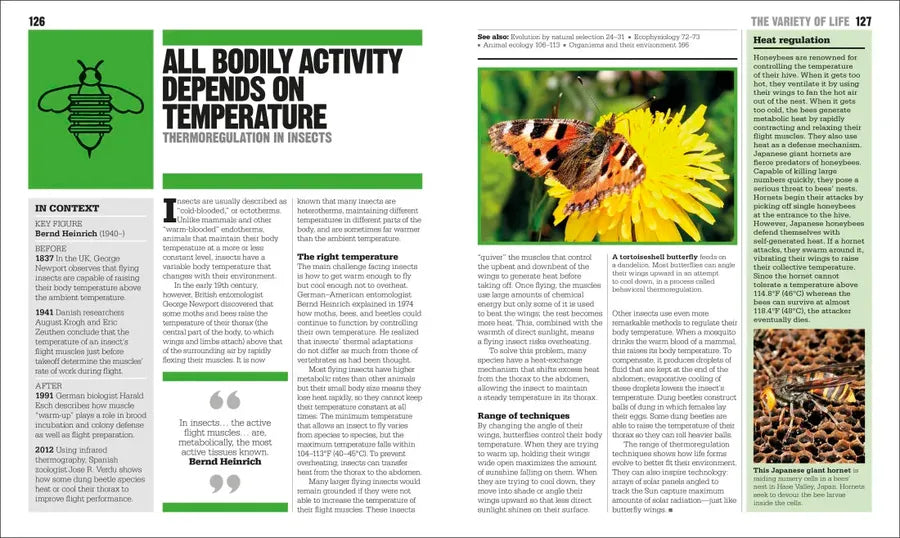 The Ecology Book US - Paperback / softback