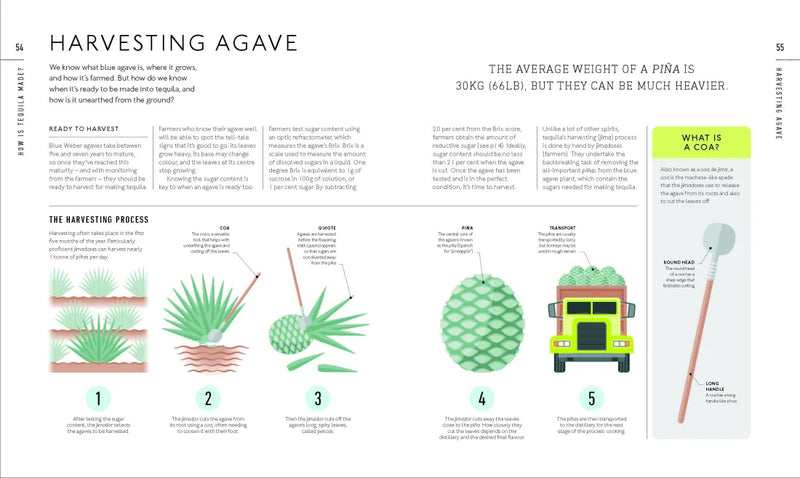 Tequila: A Tasting Course US - Hardback