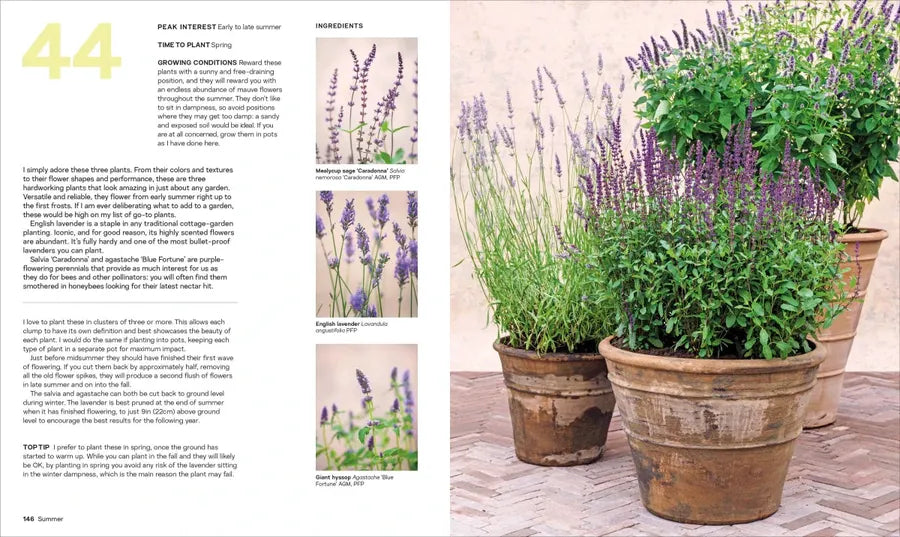 What Grows Together US - Hardback